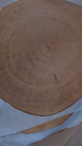 veneer sồi, lạng ngang cây 