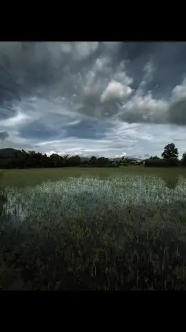 “ 花朵只有在有人浇水时才会绽放 我只有站在我爱的人面前时才会微笑 