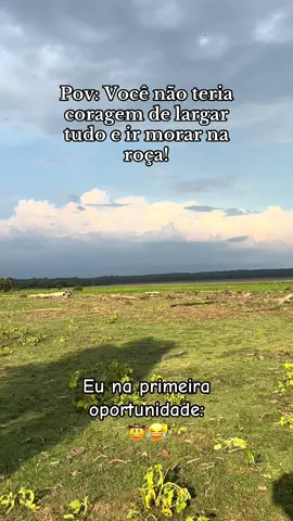 Interior é outro nível. Qualquer oportunidade estarei lá kkk #vidasimples #interior #gado #meme #campo