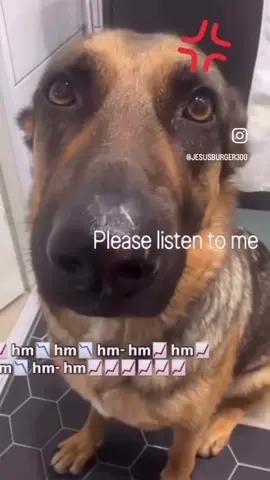 Hm hm hm hm hm in 2025 be like in brainrot kids