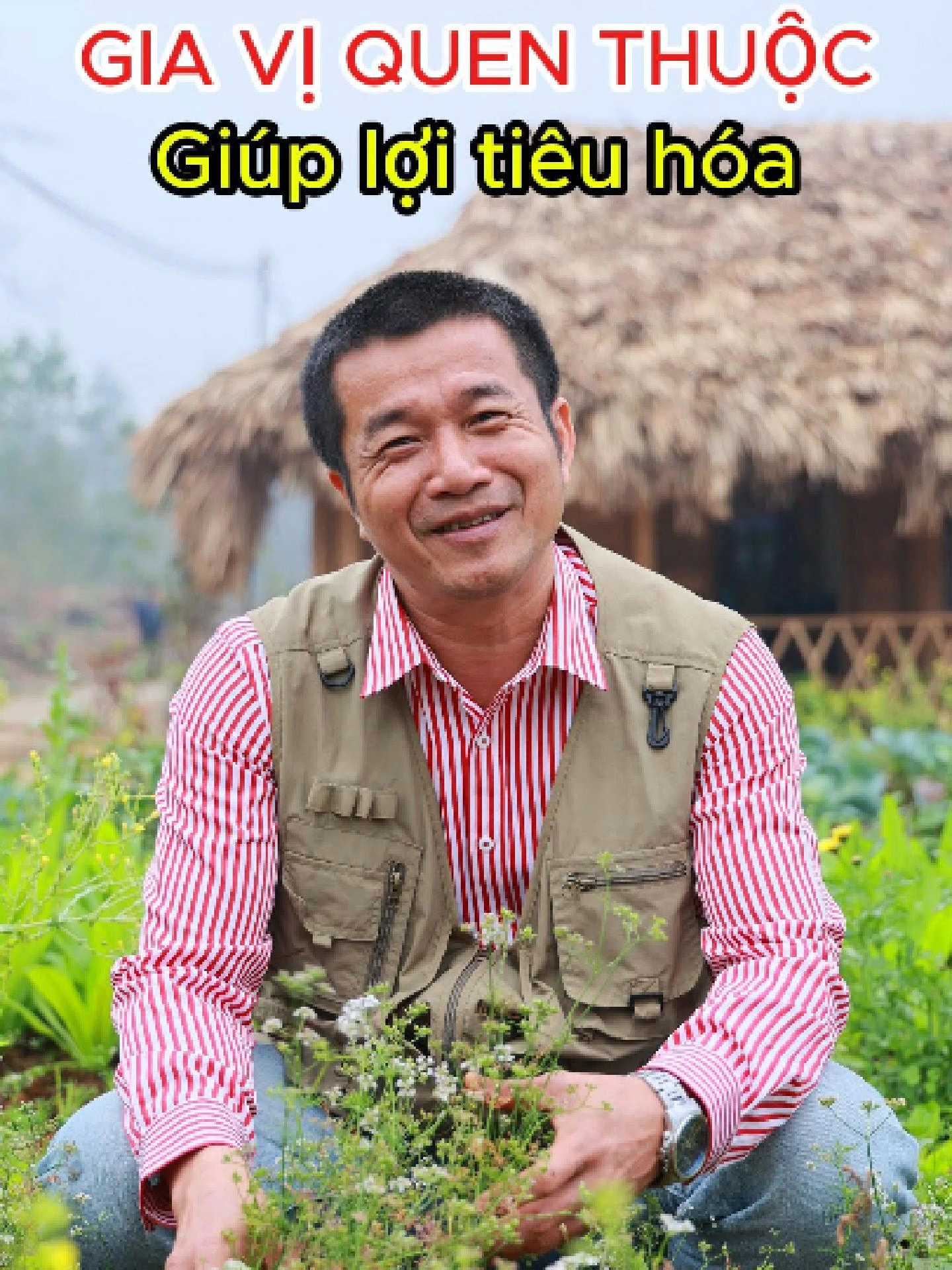 Rau gia vị quen thuộc hỗ trợ khó tiêu, đầy bụng #raumui #tieuhoa #thaoduoc #thuocnam