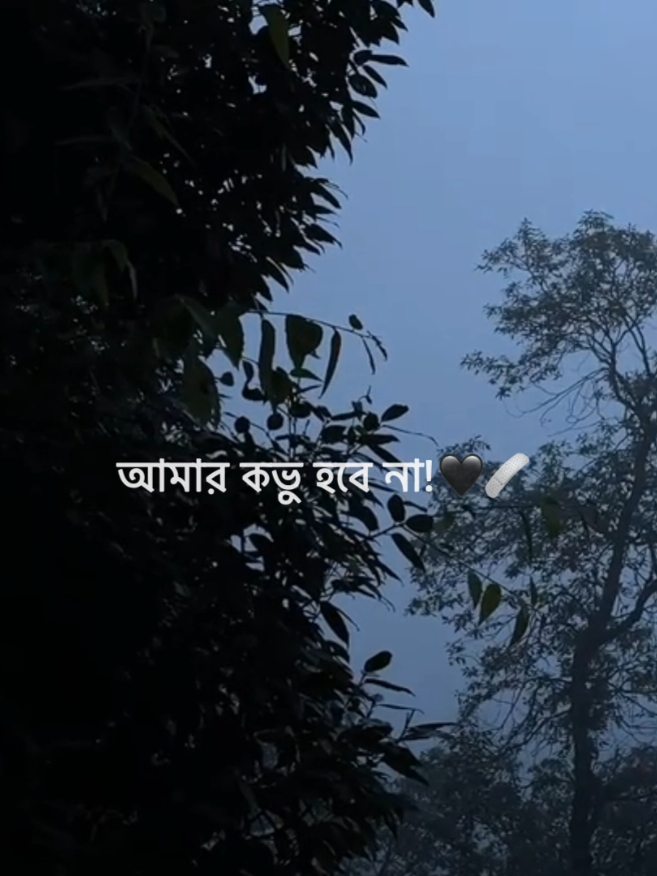 -FEEL THIS SONG-!💚✨ . . . #editz_miraj2 #miraj_rx_mals #foryou #foryoupage #unfreezemyacount 