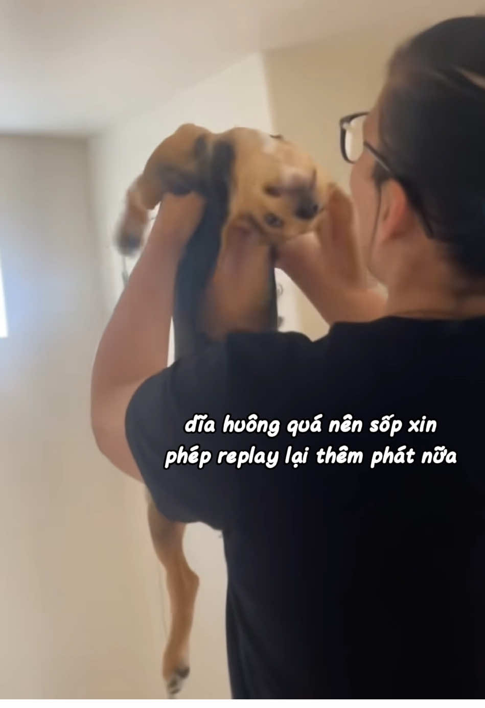 coi chừng vẹo cổ nha anh #chócute #thucung #doglife #petlovers #chó_cưng 
