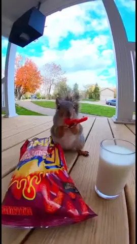 #ai #aivideos #fyp #sora 