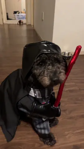 Anakin’s gone…. #darthvader #anakin #halloween 