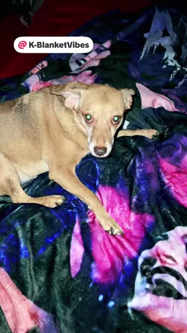 @K-Blanket Vibes #rhearipley #WWE #tiktokshop 