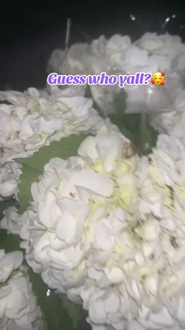 #flowers #Love #fyp #relatable #mood 