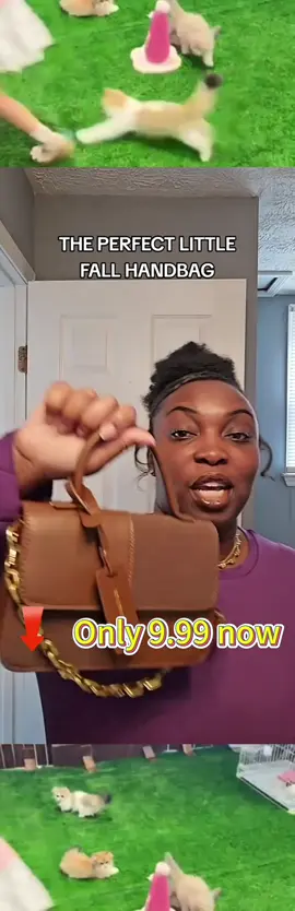 #fashion #handbag #fashionbag #giftguide #tiktokmademebuyit 