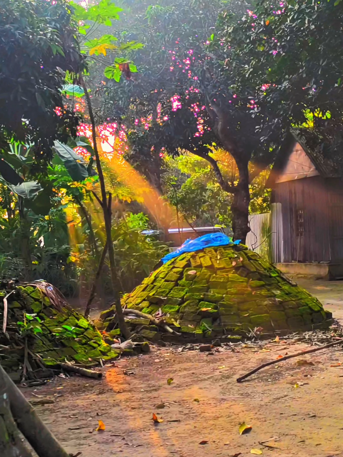 মানুষ আসবে মানুষ যাবে, কিন্তু যে থাকার সেই থেকে যাবে...!😊❤️‍🩹 #foryou #fyp #foryoupage #viral #tiktokofficialbangladesh 