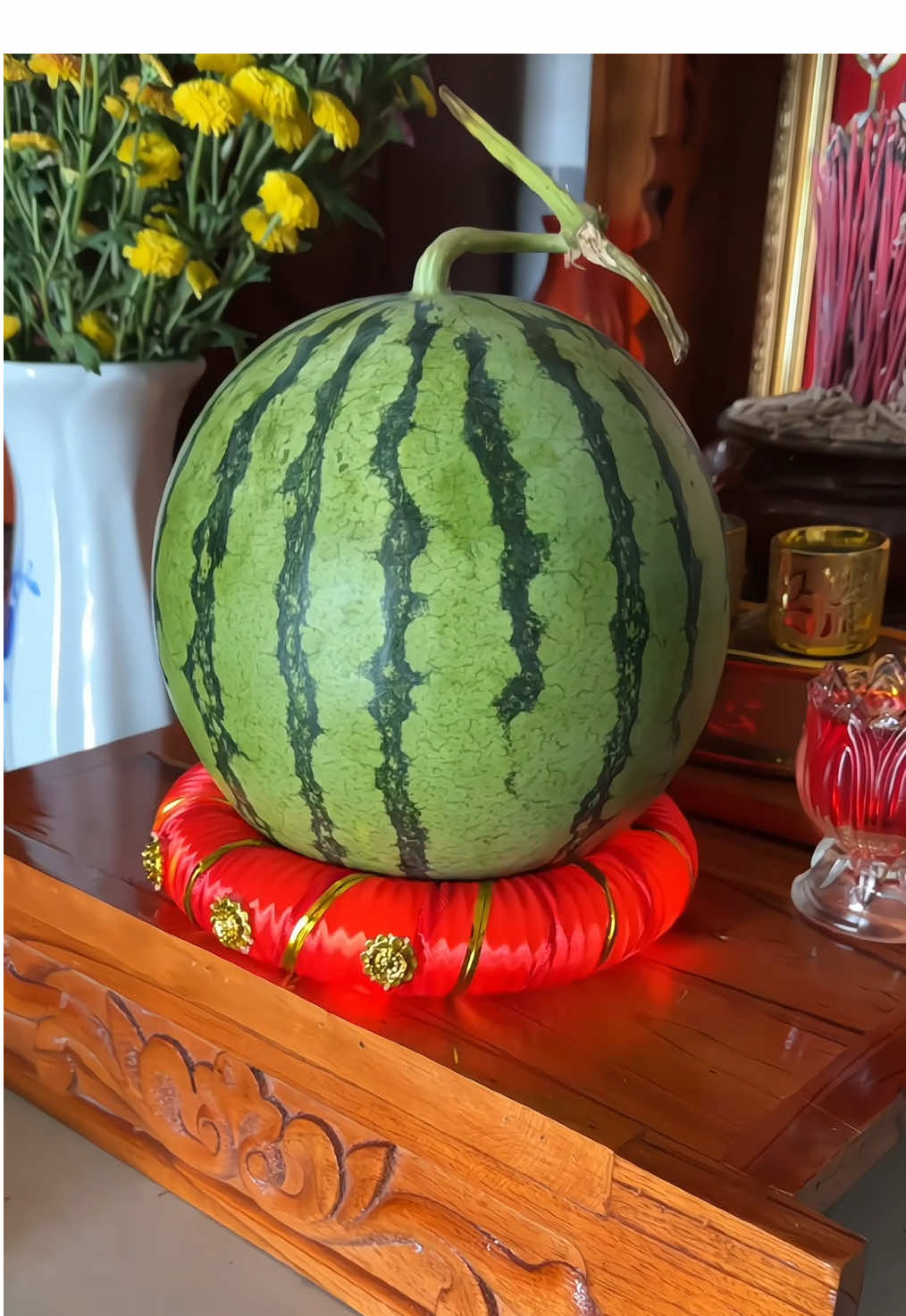 Trả lời @Yangxinh27 Cặp đế chưng dưa hấu, Dừa, Bưởi mẫu mới 2026 có đèn led đường kính 15cm #dechungdua #dechungtraicay #dechungduahau #tet2026 