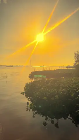 Một chút bình yên buổi sớm mai #canhdepmientay #mientayquetoi #nhacnaychillphet 