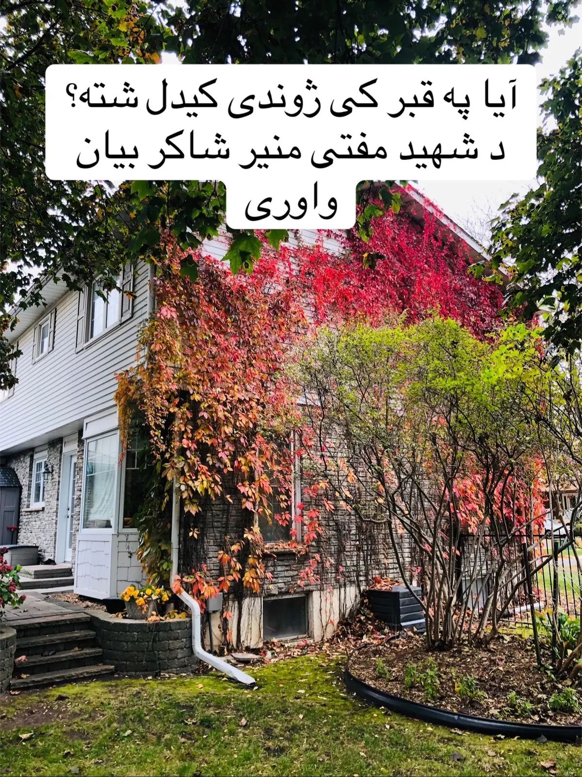 آیا قبر کی ژوندی کیدل شته؟ #muslimah #pakistan #ontario #fy #foryouu  @muftimunirshakirsahib20 @Waliullah SAHIBZADA @Waheed_durrani_302 @مفتی منیر شاکر آفیشل ✅ @Imran Khan Official @Kabir Afridi @مفتی منیر شاکر 