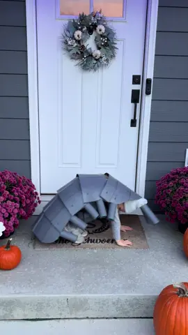 Another Halloween costume origional #rollypolly #halloween #costumeideas #differentiscool 
