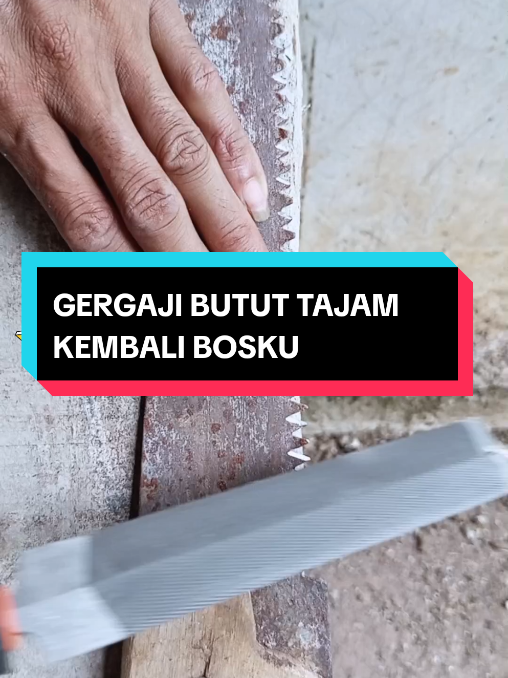 Kikir Asah Gergaji #kikir #kikirgergaji #asahgergaji #gergaji 