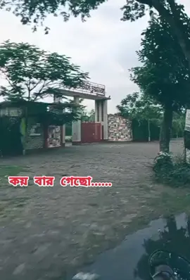 কয় বার গেছো......?  ✉️🦋🦋❤️‍🩹#foryou #আইশা 