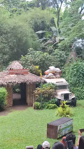 At Malagos Garden Resort Baguio District, Calinan-Baguio-Cadalian Rd, Davao City, 8000 #chillin  #loveandpeace  #davao  #lifeishere  #fyppppppppppppppppppppppp 