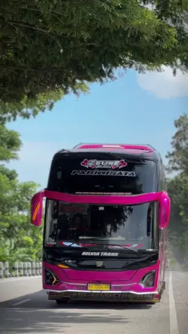 fyp sampe mana nih kira kira? #belviatrans#zeline #fyp #BIGBUS #jetbus5 