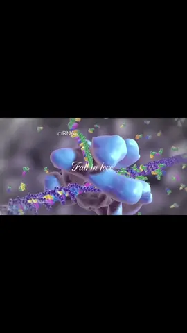 Fall in love #biology #fyp #medicine #viral #microbiology 