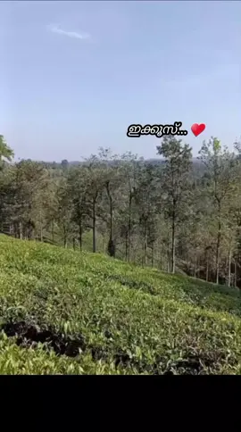 #ഇക്കൂസ്ഇഷ്ട്ടം❤️🕊 