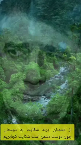 #viralvideo #foryou #ترند #محمدرضاشجریان #جمشیدعندلیبی 