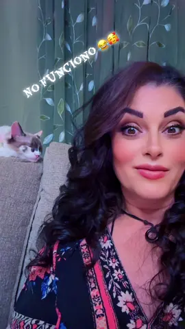 #🤪 #crazy #nosotrassomosbellas #gatitos #catsoftiktok 