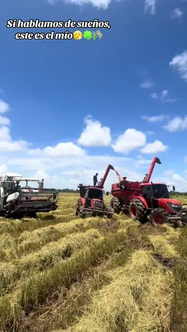 #agriculture🍀 #paratiiiiiiiiiiiiiiiiiiiiiiiiiiiiiiiiii #cosecha🙌🏻 #tractor😮‍💨 #sueños 