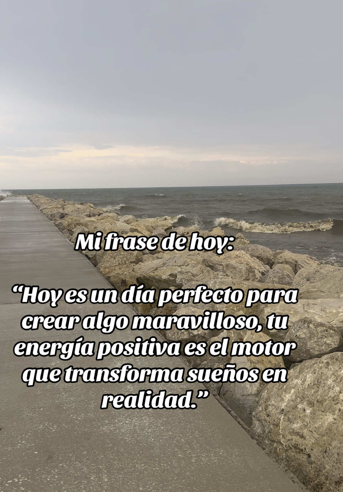 Mi frase de hoy según TikTok 