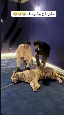 #ایمن_حسین # ام يوسف الامين يم الاسد#🐅🥹 #@aymanhussen9 #CapCut 