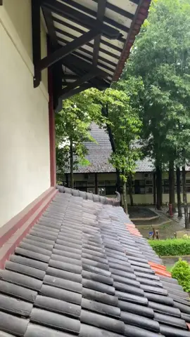 riwis #isisurakarta #Tari #tenang 