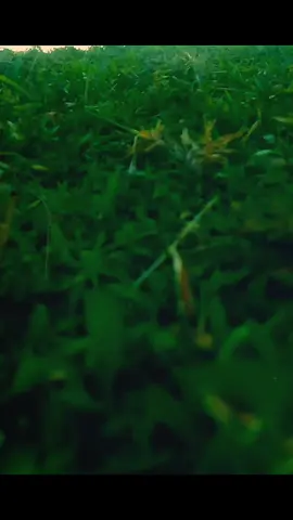 #CapCut #TikTok #foryou #100kviews  #কপি_লিংক_করো_৩_বার_others_গিয়ে #ভান্ডারুয়া #ভাইরাল_করে_দাও 