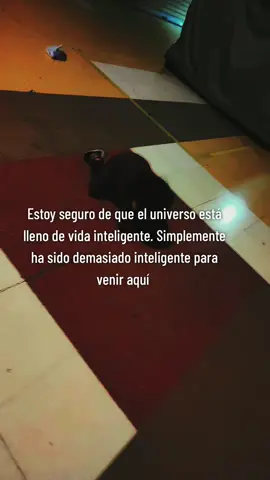 ojitos mentirosos ❤️😎