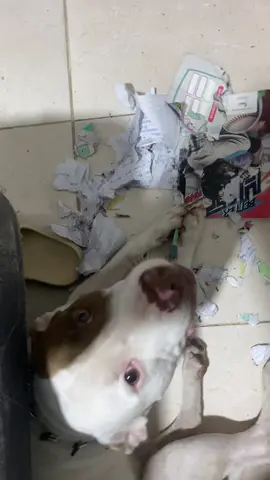 Ese hijo de perra😭#viral #paratiiiiiiiiiiiiiiiiiiiiiiiiiiiiiii #viral #escuela 