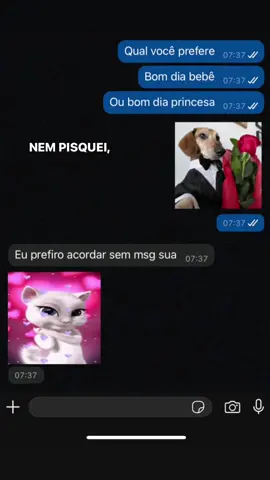 Desabou meu mundo 😔 #fy #fyp #prints #conversasdewhats #memes 