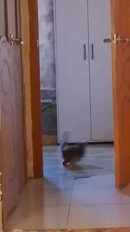 на дырку в потолке не обращайте внимание, хулиганы блин