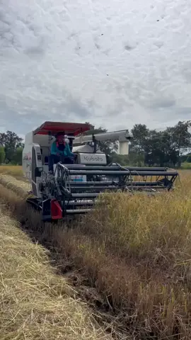 ตามนั้นครับแม่ยายทั้งหลาย😂😁😁#บ่าวขุขันธ์ศรีสะเกษ #รถเกี่ยวข้าว105x