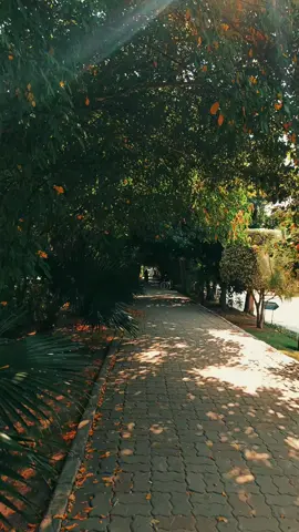 کبھی کبھی دل اتنا تھک جاتا ہے کہ نہ رونا آسان لگتا ہے، نہ ہنسنا۔ سب کچھ ٹھیک دکھائی دیتا ہے، مگر اندر کہیں خاموشی چیخ رہی ہوتی ہے۔ یادیں، خواب، وعدے — سب ایک بوجھ بن جاتے ہیں۔ ایسا لگتا ہے جیسے زندگی چل تو رہی ہے، مگر دل کہیں پیچھے رہ گیا ہے، اُس لمحے میں جہاں سب کچھ کھو گیا تھا #trending #poetry #foryoupage #viewsproblem #unfrezzmyaccount 