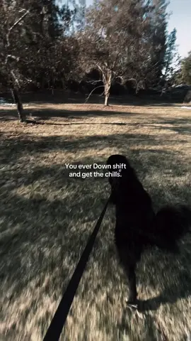 #foryoupage #cars #fypシ゚viral 