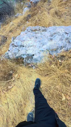 xalana davara barzan😍⛰️#barzan #masifpirmam #zebari #walatzheri #balnda 