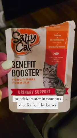 prioritizing water in your cats diet will keep them out of the vets office and living a happy health life.  I switch up their food but today I am using Salty cats benefit booster meals #cats #cat #catsoftiktok #cattok #catlover 
