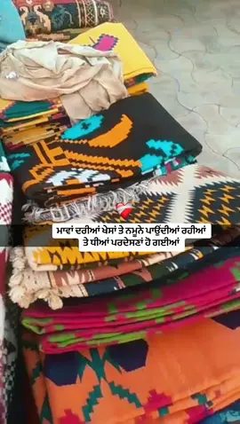 #punjab #punjabi #pardesi #reels 