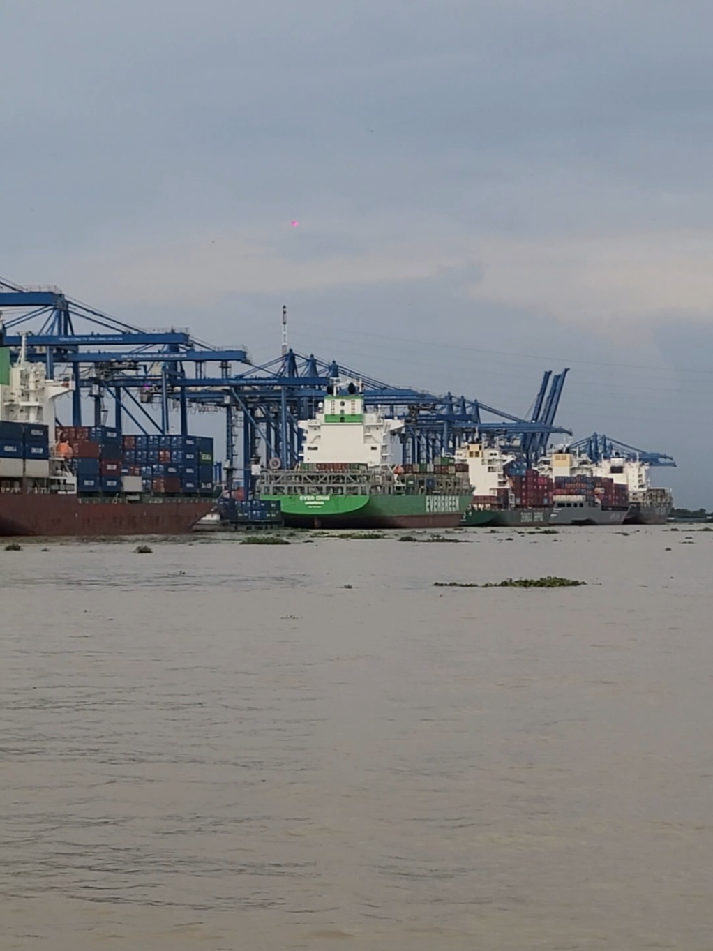 Tân Cảng Cát Lái #catlaiport 