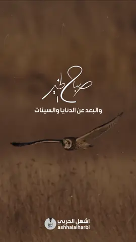 اللهم يارب المطر ورب الشجر ورب الكون الذي قد اسر ، ارزقنا الثبات  على الطيبات ، والبعد عن الدنايا والسيئات .. #اعادة_النشر🔃 #صباح_الخير #صباحيات #اكسبلورexplore #viral 