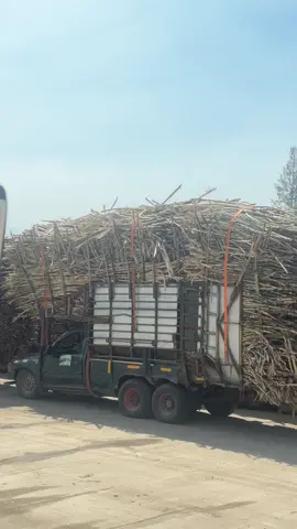 หกล้อยังอายย😄🚛💯 #บ่าวลําปาง #วัยรุ่นขับพ่วง🚛🚛 #อ้อยด่วนแม่สอด🎋 #แม่สอดหวานเจี๊ยบ #ฟีดดดシ 