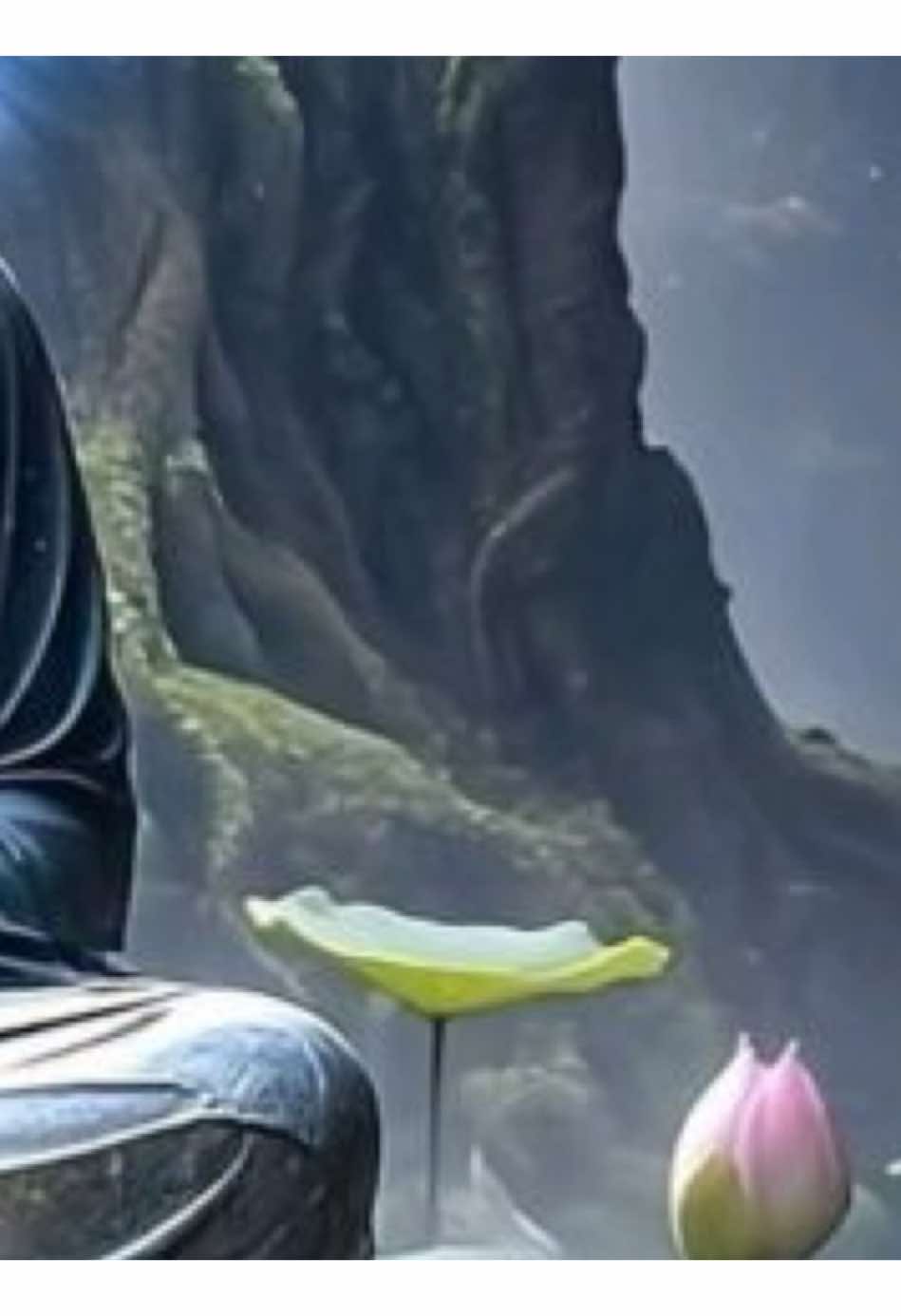 các con nghe thấy đúng không mậu thìn 88 #phatphap #tuvi12congiap #tuổithin🐉 #tịnhtâm 