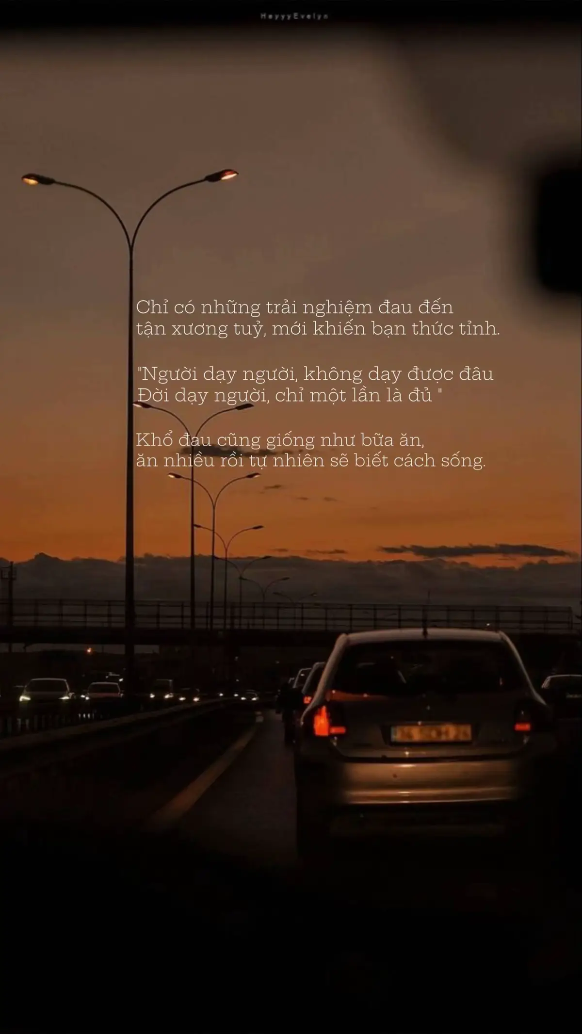 Khổ đau cũng giống như bữa ăn, ăn nhiều rồi tự nhiên sẽ biết cách sống.  #xuhuong #tamtrang #foryou #fyp #story 