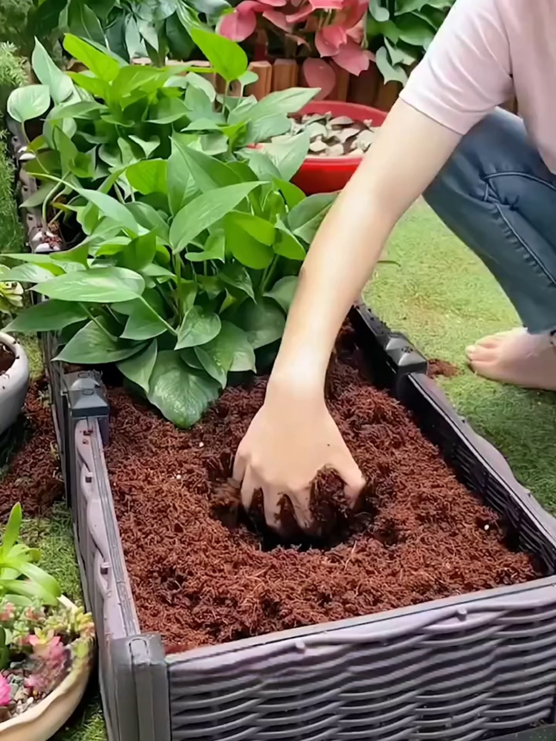 100% dari sabut kelapa, tak berbau, tak berkulat, memang selamat guna! #Semulajadi #TakBerbau #TakBerkulat