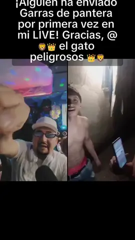 ¡Me ha encantado! ¡Gracias, 🦁👑 el gato peligrosos 👑🦁! Es la primera vez que veo este Regalo en mi LIVE. #tiktoklive #livehighlights #livegift #pantherpaws #garrasdepantera