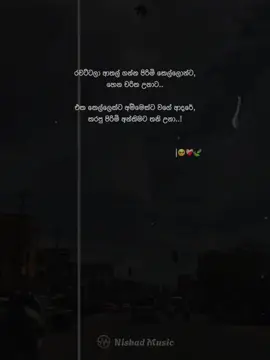 රවට්ටලා ආතල් ගන්න පිරිමි කෙල්ලොන්ට හෙන චරිත උනාට එක කෙල්ලෙක්ට අම්මෙක්ට වගේ ආදරේ කරපු පිරිමි අන්තිමට තනි උනා..! #nishad__music #nishad__music1 #nishad__wadan1 