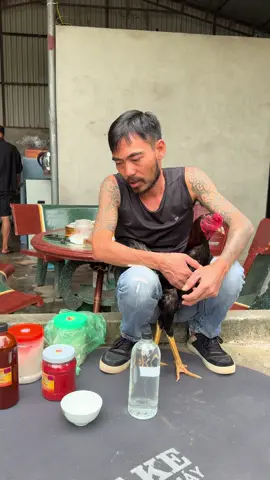 Cách pha nghệ đúng cách ạ #?gachoivietnam🐓🐓🐓 #gachoivietnam #hoaquason #xuhuong #hoaquason 