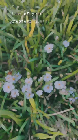 #CapCut #lifelessons #motivationalquote